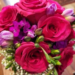 Meet your Posher, Susan